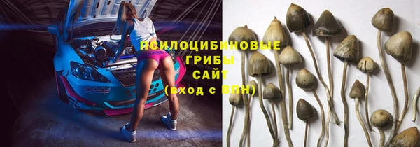 СК Кукмор