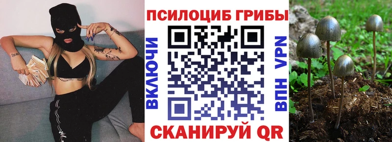 darknet Telegram  Благовещенск  Галлюциногенные грибы ЛСД 