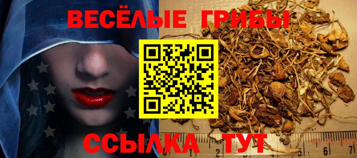 Псилоцибиновые грибы GOLDEN TEACHER  Вход с VPN  купить  сайты  Галлюциногенные грибы Magic Shrooms  Благовещенск 