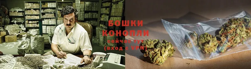 дарнет шоп  Благовещенск  МАРИХУАНА White Widow 